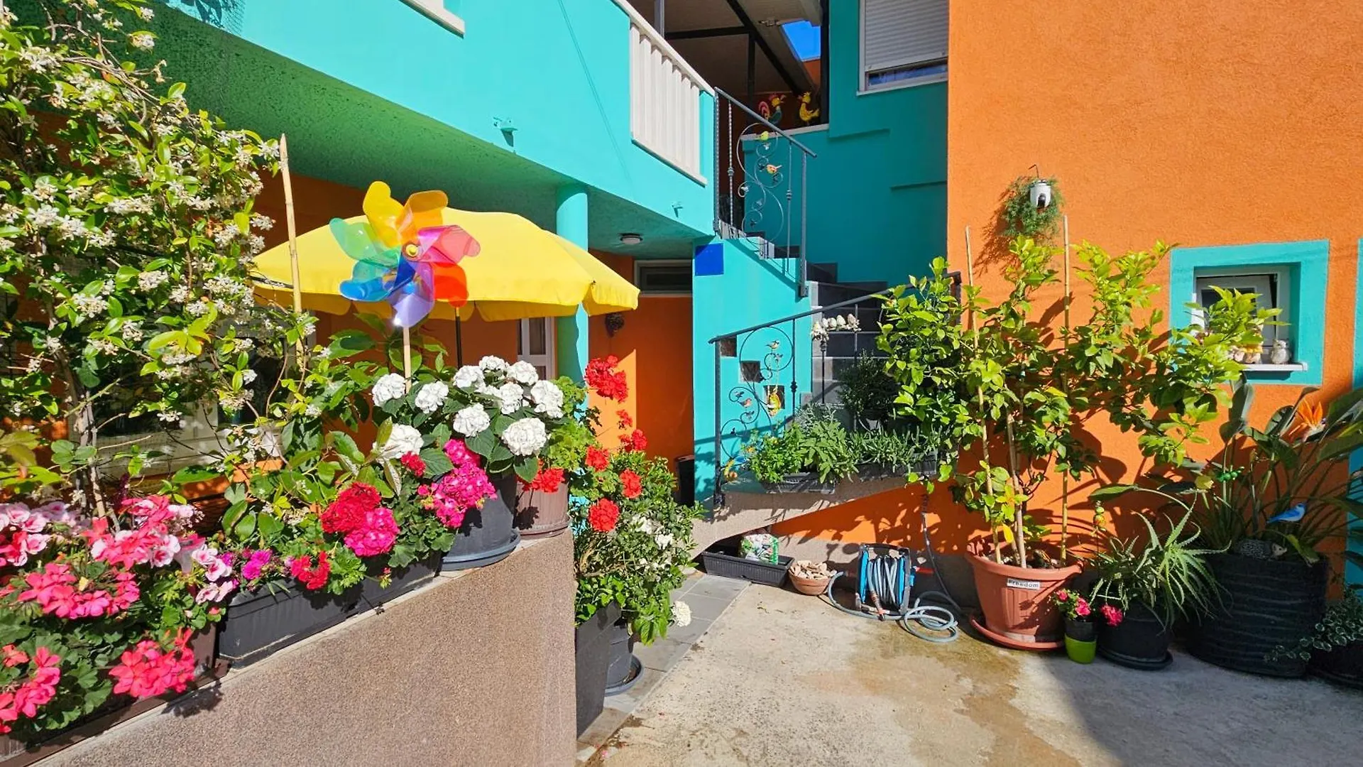 Mexicana Apartment Pink Zadar Croatia