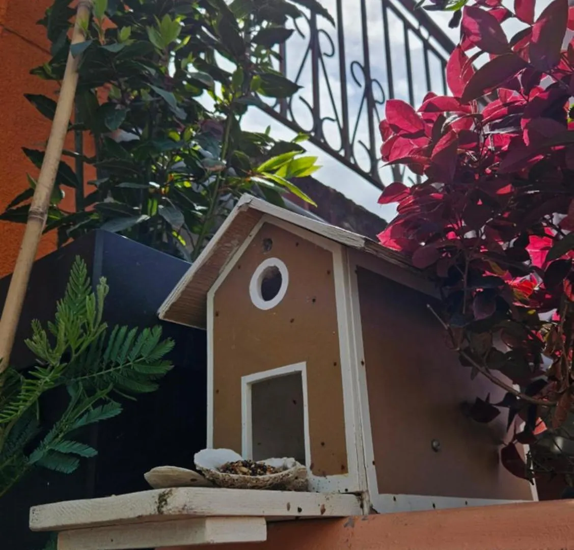 Mexicana Apartment Pink Zadar